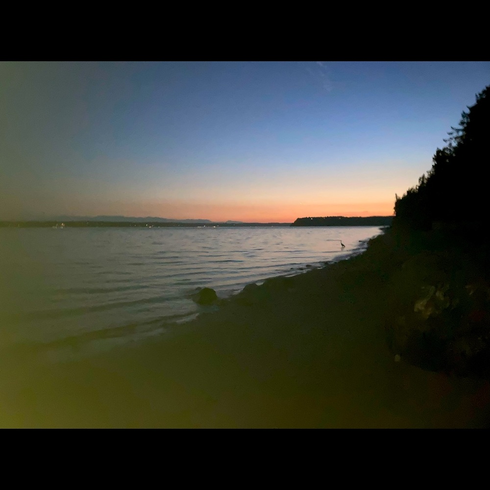 Meet your Posher, Chelsea